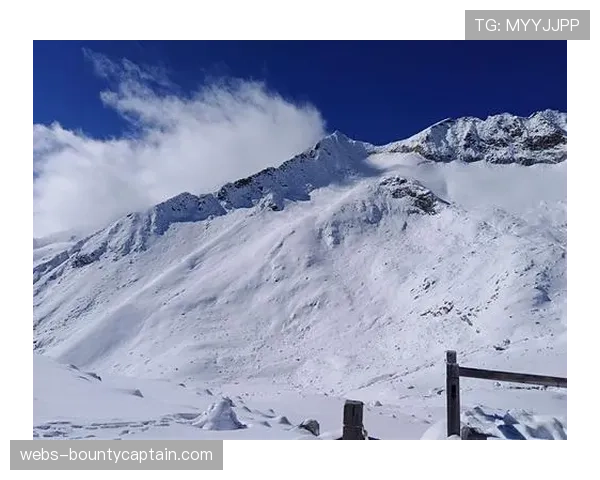 从四川阿坝到国际舞台：班玛夺基的格斗王子之路